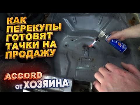 Видео: Как перекупы готовят тачки на продажу. Accord от хозяина. Часть 1.