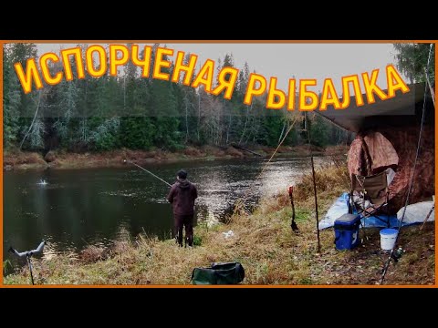 Видео: ОНИ ИСПОРТИЛИ ВСЮ РЫБАЛКУ .ОНИ УТОПИЛИ НАШИ СНАСТИ.! РОДНИК  на р.ЛЕМОВЖА . РЫБАЛКА НА  НАЛИМА.