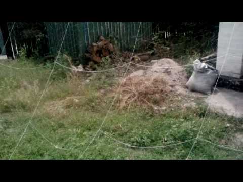 Видео: обзор рамовой сети