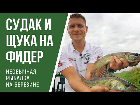 Видео: Ловля фидером на Березине. Необычная рыбалка в Беларуси.