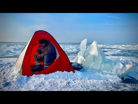 Видео: Попал на РАЗДАЧУ КРУПНОЙ ПЛОТВЫ🐟🐟🐟!!!