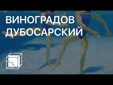 Видео: Александр Виноградов, Владимир Дубосарский | Пока все дома у Антона