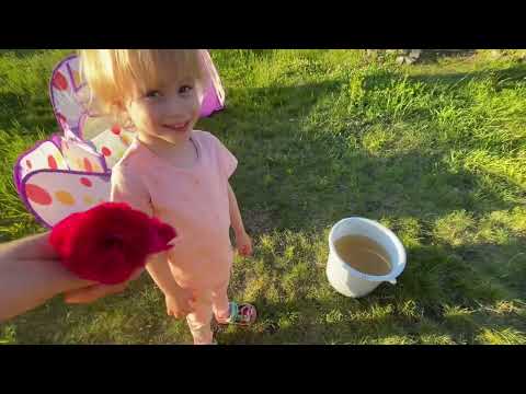 Видео: На даче)