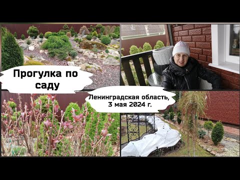 Видео: Прогулка по саду. ( 3 мая 2024 г.)