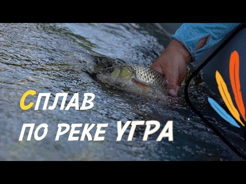 Видео: СПЛАВ ПО РЕКЕ УГРА