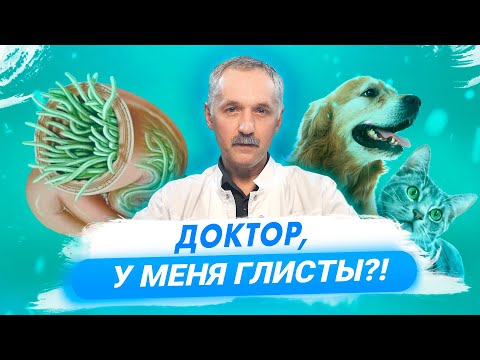 Видео: Глисты. Кто входит в группу риска? Как избавиться от глистов? / Доктор Виктор