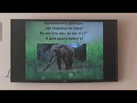 Видео: Природознавство (3 клас). Звірі (ссавці)