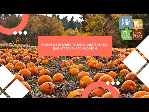 Видео: Запись семинара  от 2 августа 2024 года