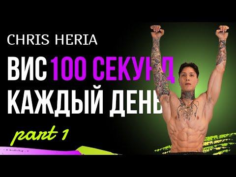 Видео: 100 Секунд Виса На Турнике В День Изменят Мое Тело За 30 Дней