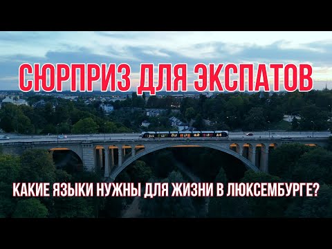 Видео: Какой язык нужно знать, чтобы жить в Люксембурге Спойлер: одного точно мало #люксембург #интеграция
