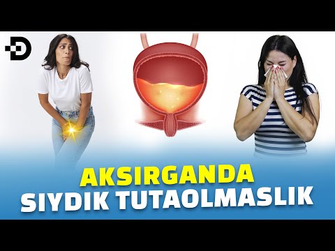 Видео: АКСИРГАНДА, ЙЎТАЛГАНДА СИЙДИК ТУТАОЛМАСЛИКНИ УЙ ШАРОТИДА ОЛДИНИ ОЛИШ