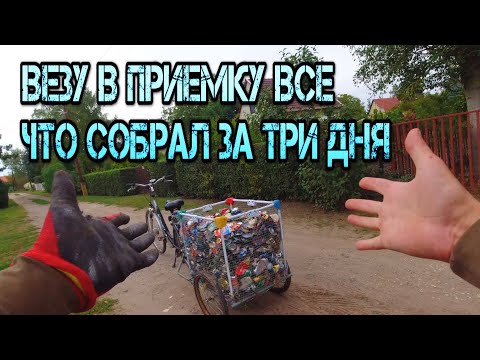 Видео: Сколько можно заработать на сборе алюминиевых банок ?