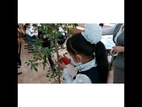 Видео: Дос болайық бәріміз
Сынып сағаты