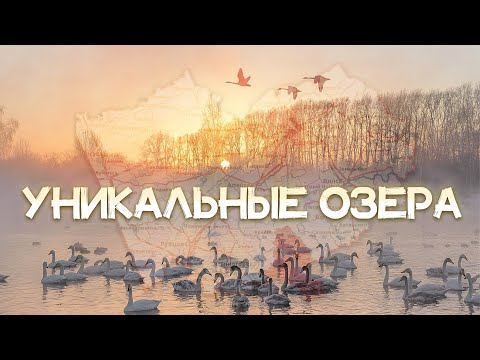 Видео: 5 УНИКАЛЬНЫХ ОЗЁР Алтайского Края // Уникальные Природные Озера которые вы можете посетить на Алтае