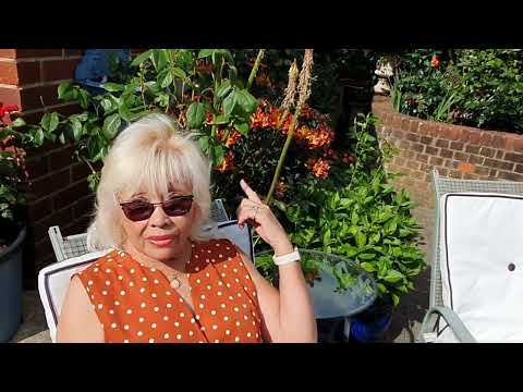 Видео: 611. ЭНЕРГИЯ, ПОЗИТИВ И ЛЮБОВЬ В ЭТОМ ВИДЕО.
