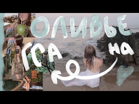 Видео: ПОХОД К ВОДОПАДУ И ОЛИВЬЕ НА ГОА