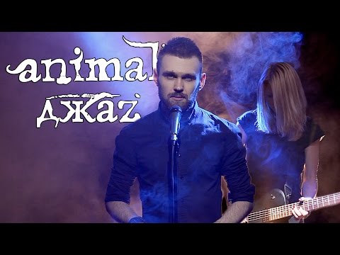 Видео: Animal ДжаZ - Любовь (cover by COrus Music)