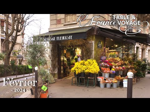 Видео: Февральский Париж гуляет по городу, полному 💛Мимозы💛 и красивых зданий💖Relax Paris