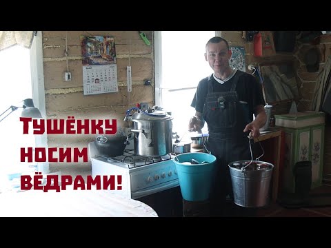 Видео: Весеннего мёда у нас нет , зато тушёнку носим вёдрами!