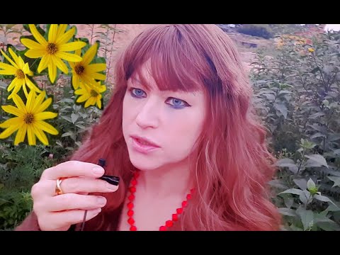 Видео: Топинамбур #🍂 Helianthus tuberosus🍂ЗЕМЛЯНАЯ ГРУША 🍂
