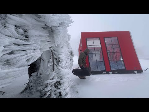 Видео: КЕМПИНГ В ЛЕДЯНОМ ЛЕСУ