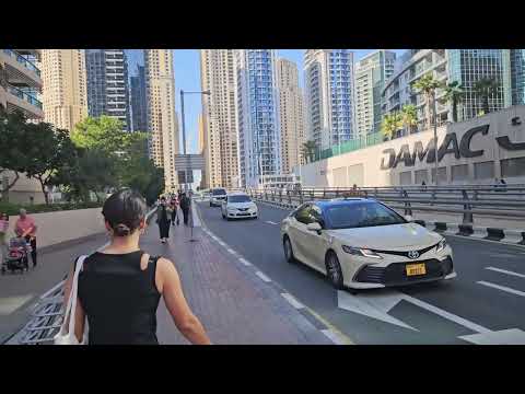 Видео: Поход к морю