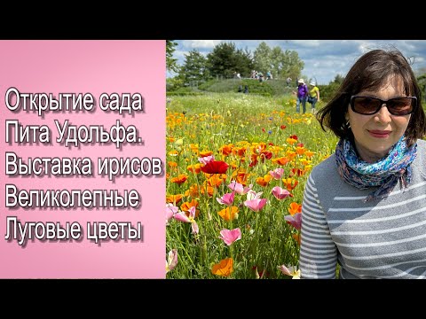 Видео: Vlog 483 - Wisley garden. Последние новости из сада. Открытие сада Пита Удольфа и выставка ирисов.