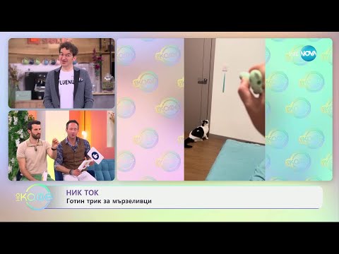 Видео: НИК ТОК: Най-любопитното от социалните мрежи - „На кафе“ (23.04.2025)