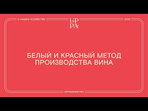 Видео: Павел Швец | Белый и красный метод производства вина