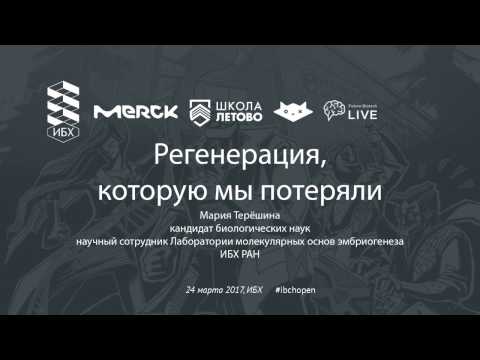 Видео: Регенерация, которую мы потеряли