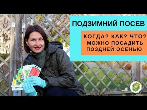 Видео: ПОДЗИМНИЙ ПОСЕВ - что можно посадить в саду и на огороде поздней осенью?