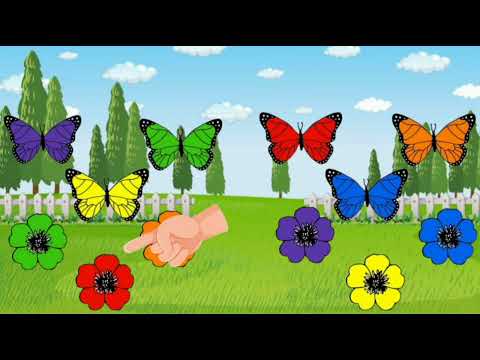 Видео: Сенсорний розвиток та ознайомлення з природним довкіллям ( ранній вік) " Різнокольорові метелики"