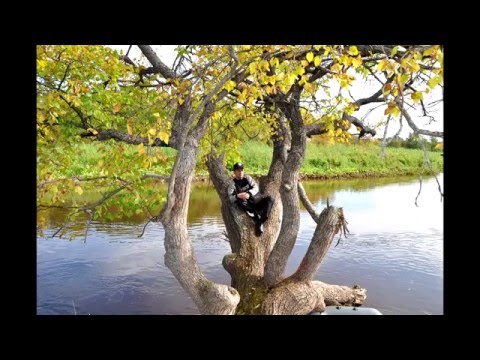 Видео: Сплав Дебесы-Полом  09.2015 2часть