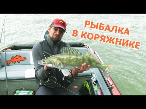 Видео: Рыбалка в корягах на спиннинг. Ловля Судака.