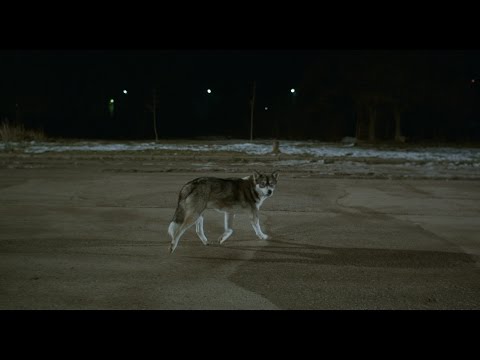 Видео: СТРУГАРЕ - ФОЙЕРВЕРК