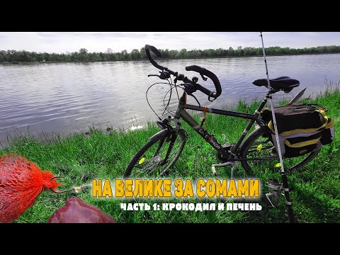 Видео: На ВЕЛИКЕ за СОМОМ. Удочка КРОКОДИЛ и ПЕЧЕНЬ на сома. Видеодневник 2 часть