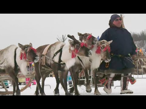 Видео: Праздник, который ждали. Соревнования оленеводов | Ялэмдад нумгы