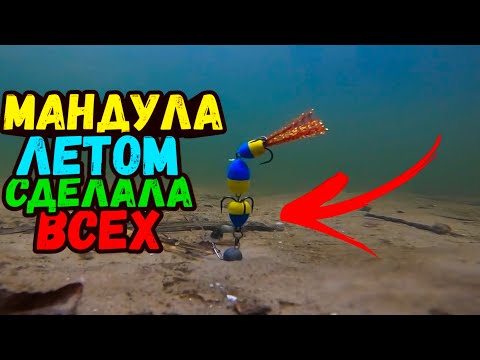 Видео: Ловля ПАССИВНОГО судака на МАНДУЛУ в ЖАРУ!!! Ловля судака на джиг, Судак