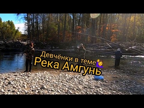 Видео: Горная рыбалка на хариуса, осень, река Амгунь 🎣🐟