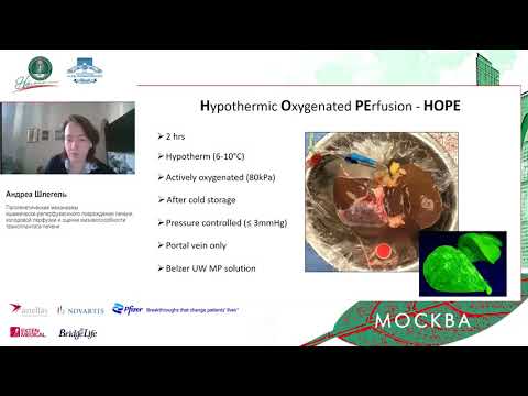 Видео: А1. Патогенетические аспекты ишемически-реперфузионного повреждения трансплантата печени