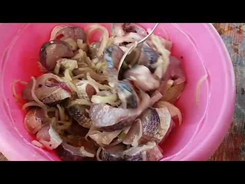 Видео: САЛАМУР ХЕ Маринованный Пеленгас