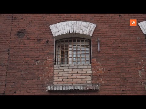 Видео: Программа «Город. Новости по-выборгски» от 31 октября 2025 года