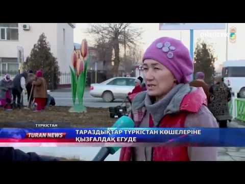 Видео: Тараздықтар Түркістан көшелеріне қызғалдақ егуде