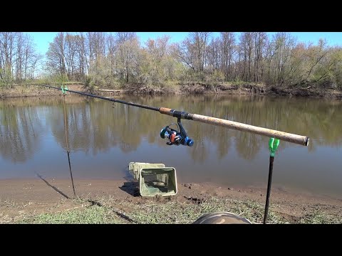 Видео: Весенняя ГУСТЕРА на фидер! Ловля на МАЛОЙ реке! Дема 2022.