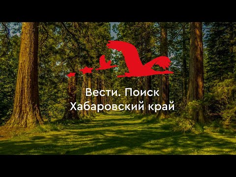 Видео: Последние несколько дней "Школы Поисковика 2024"