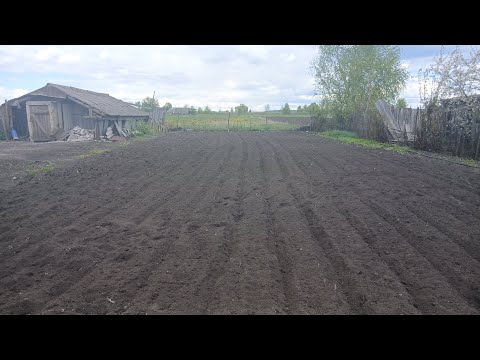Видео: Работа на огороде.