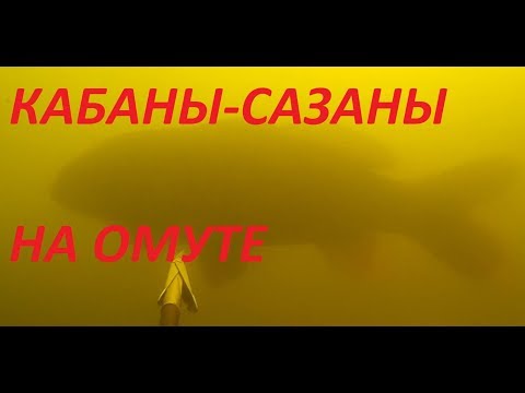 Видео: Большие Сазаны на Яме!Тактика охоты на Сазана днем в Залежке!