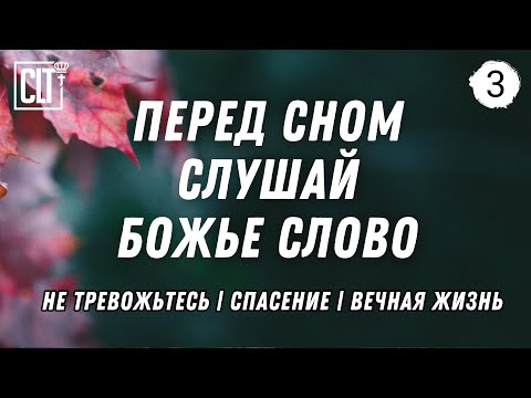 Видео: Не можешь уснуть? Слушай Божье Слово перед сном | Водопад | Легкая фоновая музыка | Relaxing