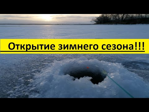 Видео: Первый лед на цимлянском водохранилище. сезон 2023-2024