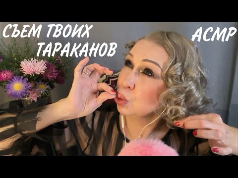 Видео: АСМР "Съем твоих тараканов"